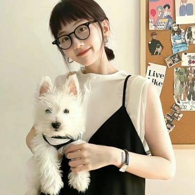 疯狂兔宝免费在线观看